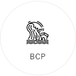 BCP